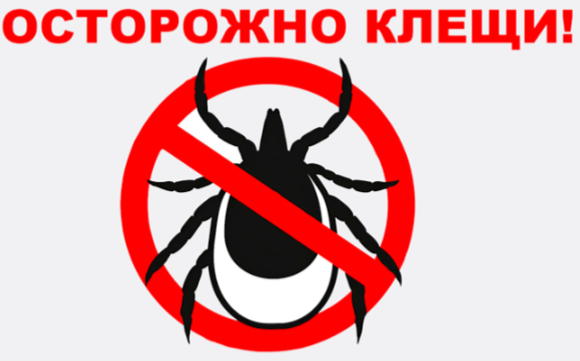 2025-04-01_20-14-11.png